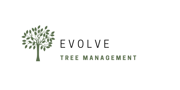 Evolve Tree Management Cumbria