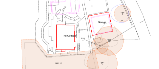 Tree Constraints Plan produced from a BS5837 tree survey showing root protection areas and canopy spreads