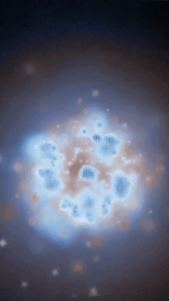 IMG_1530.gif