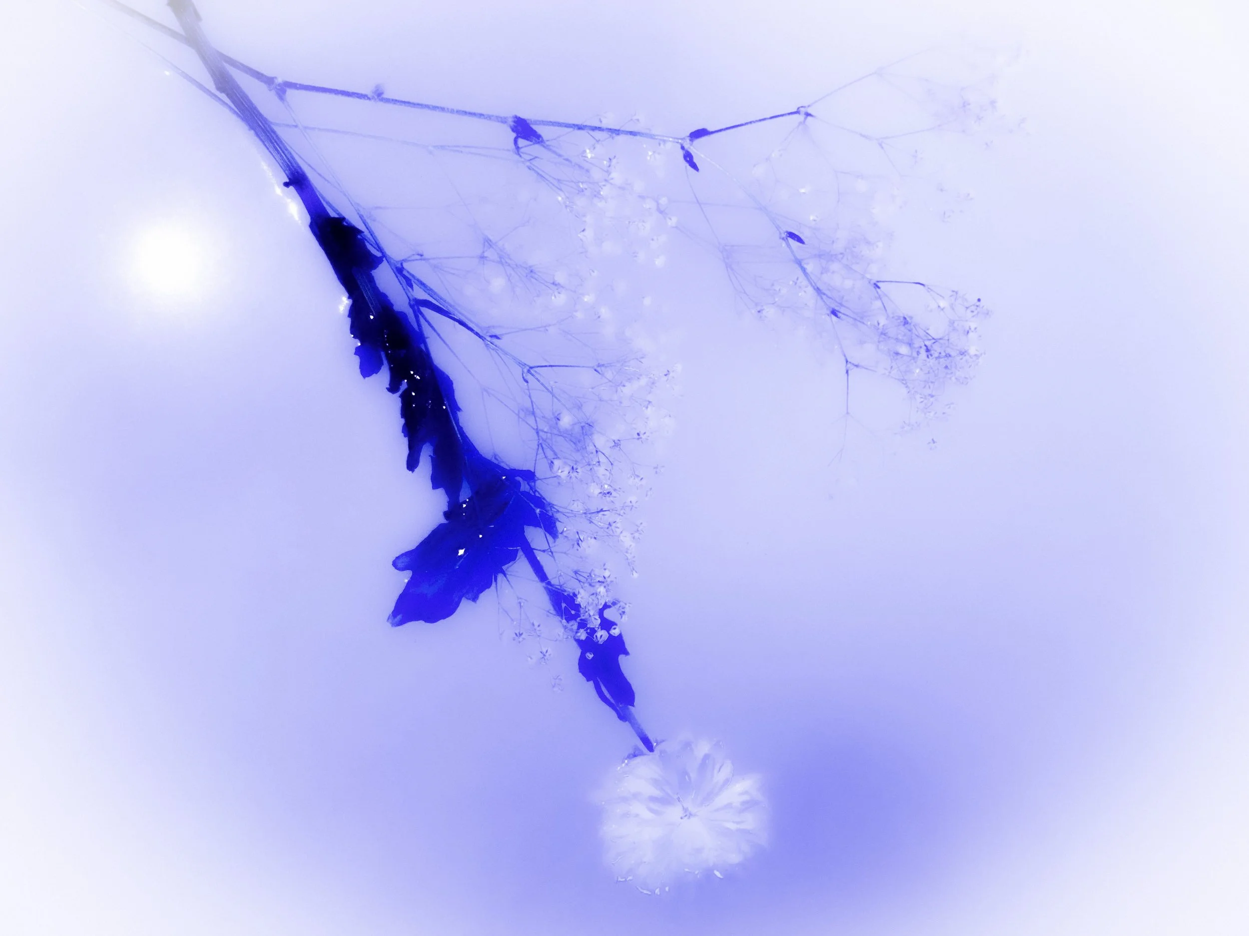 A7BB82C7-03FE-4883-B902-070D0CF9A204.jpeg