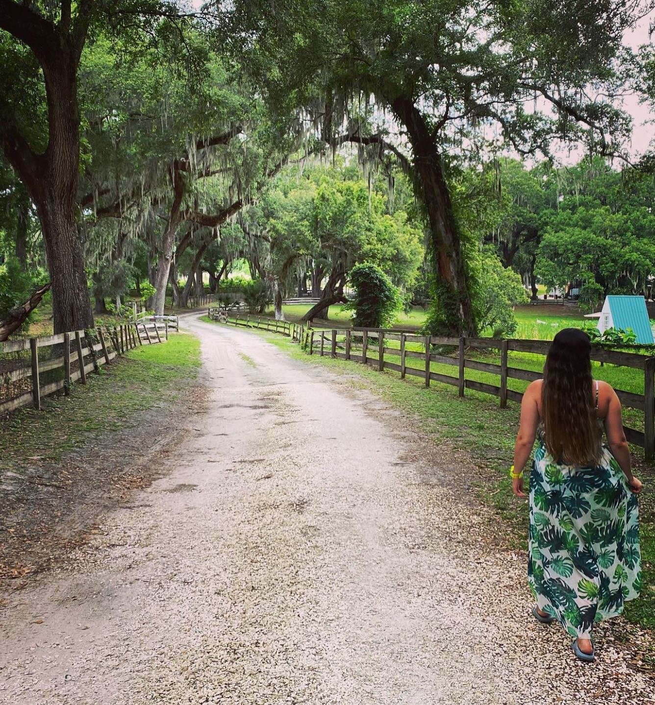 We are an 8.3 acre farm surrounded by nature. The location is perfect for those who want to unplug, have fun with your friends and family, and enjoy Mother Nature. 🌿🤎

📸: @mermaid_nasha