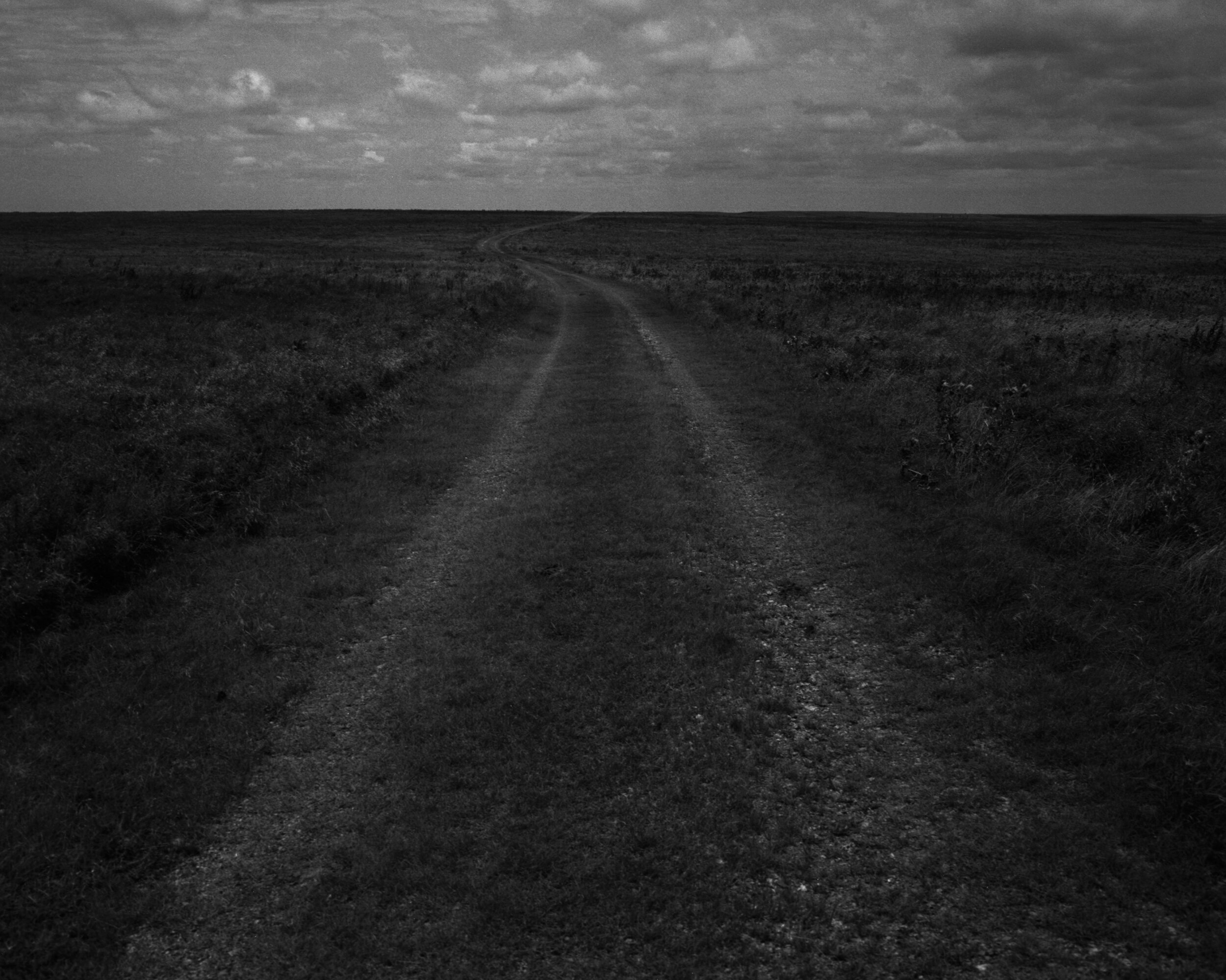 tallgrass13.jpg