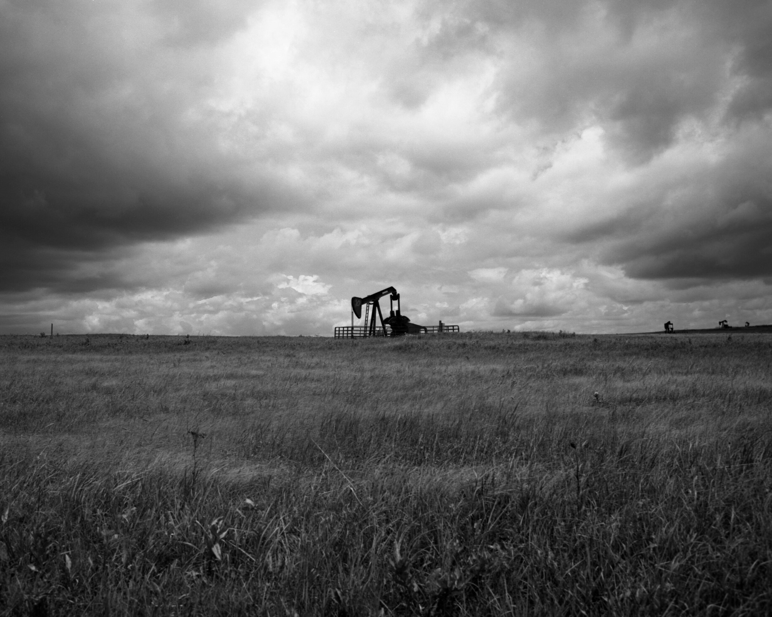 tallgrass1.jpg
