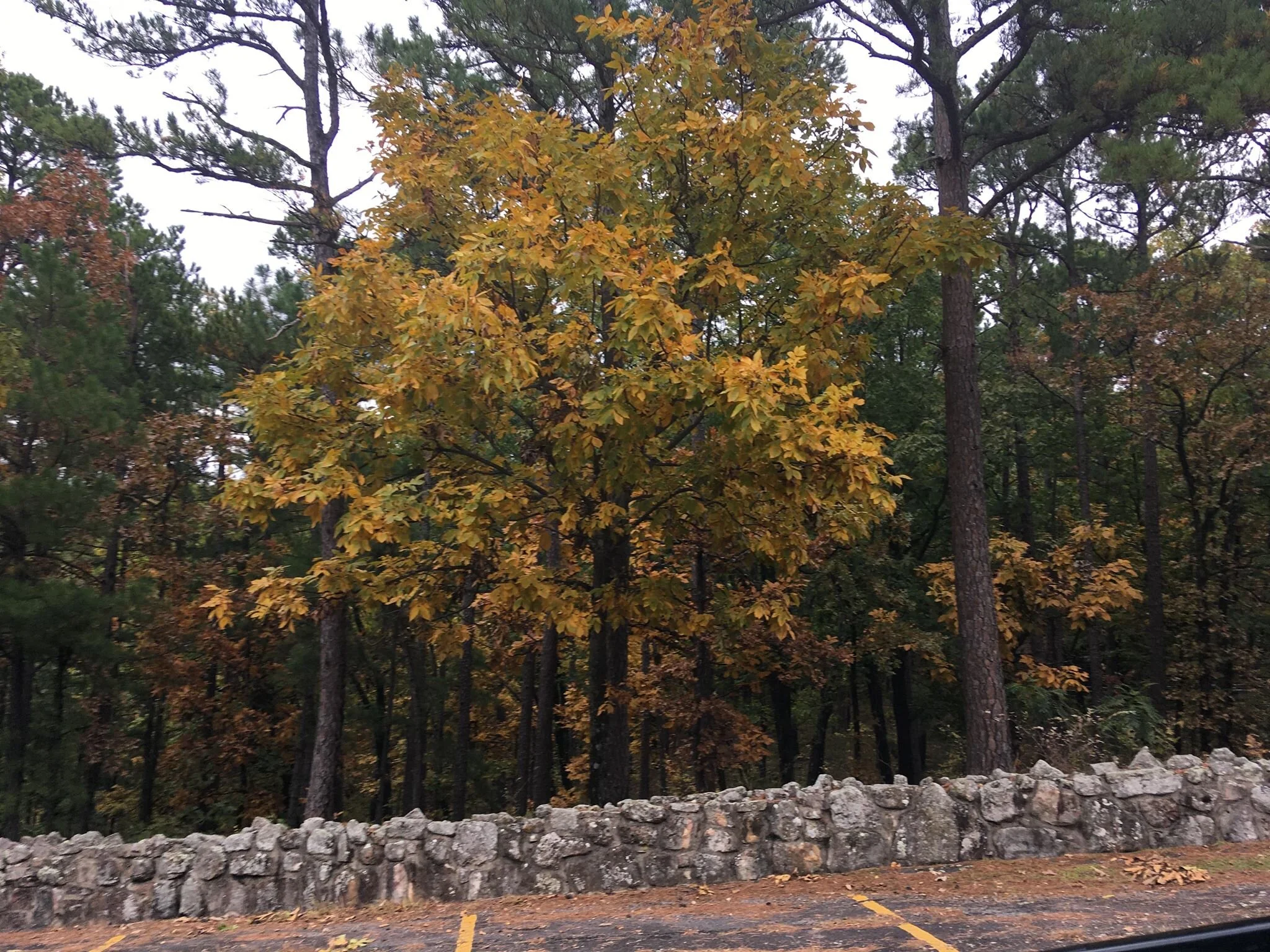 Heavener Runestone Park