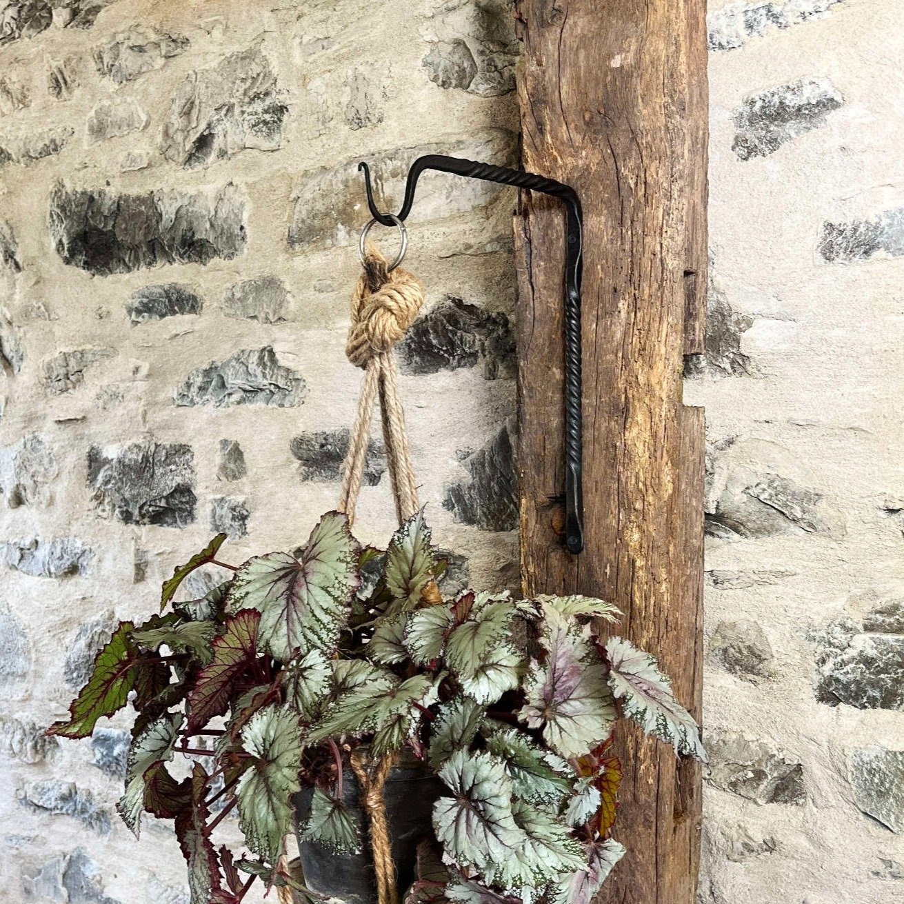 Minimal Twist Plant Hanger