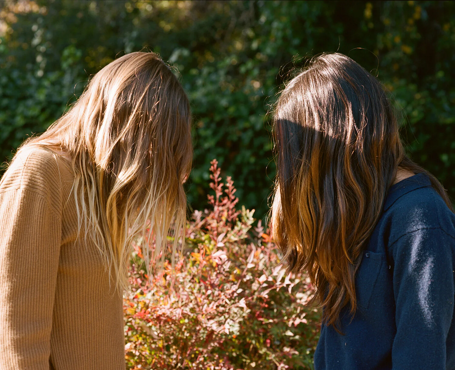 Jules + Maya
