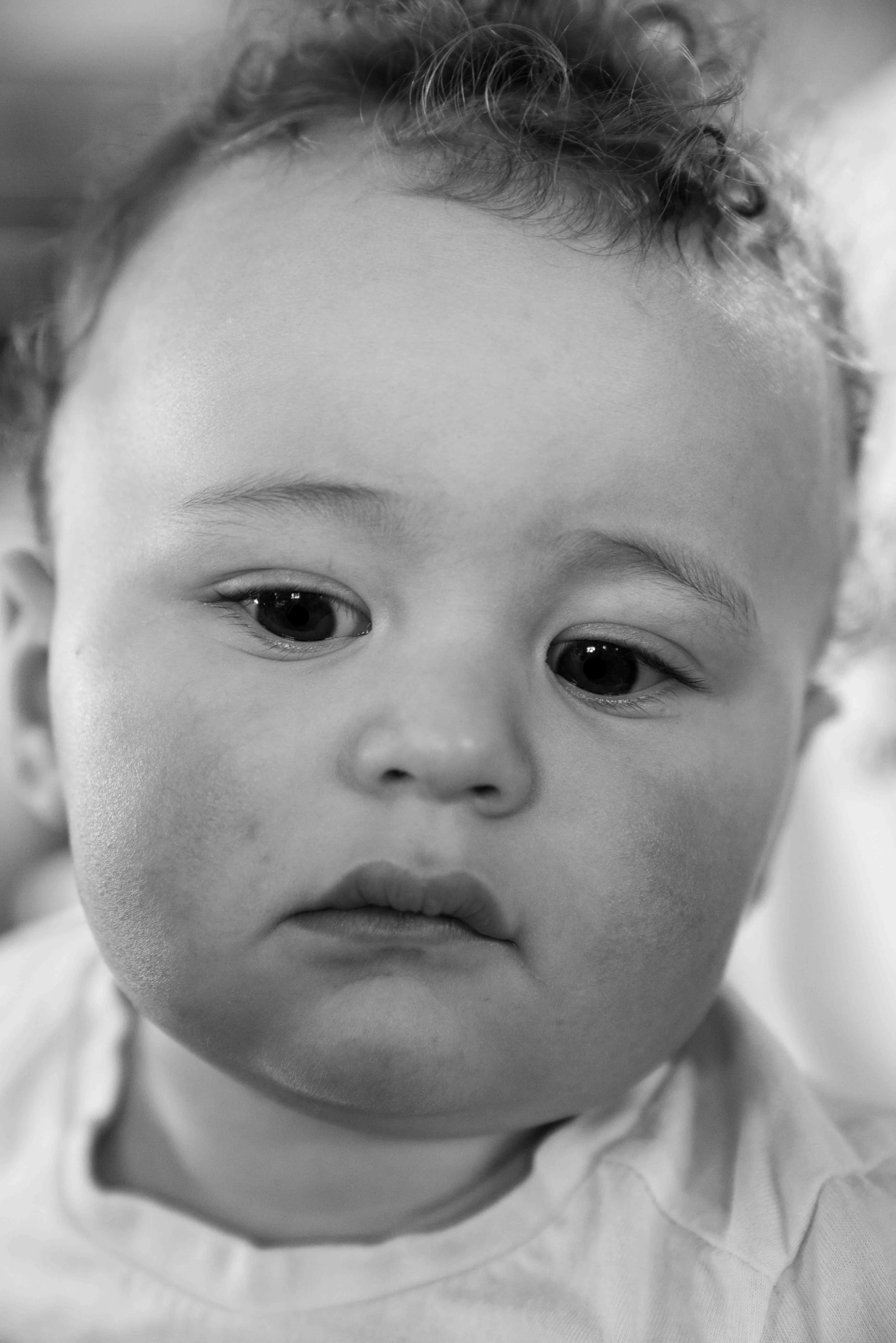 DSC04455.jpg