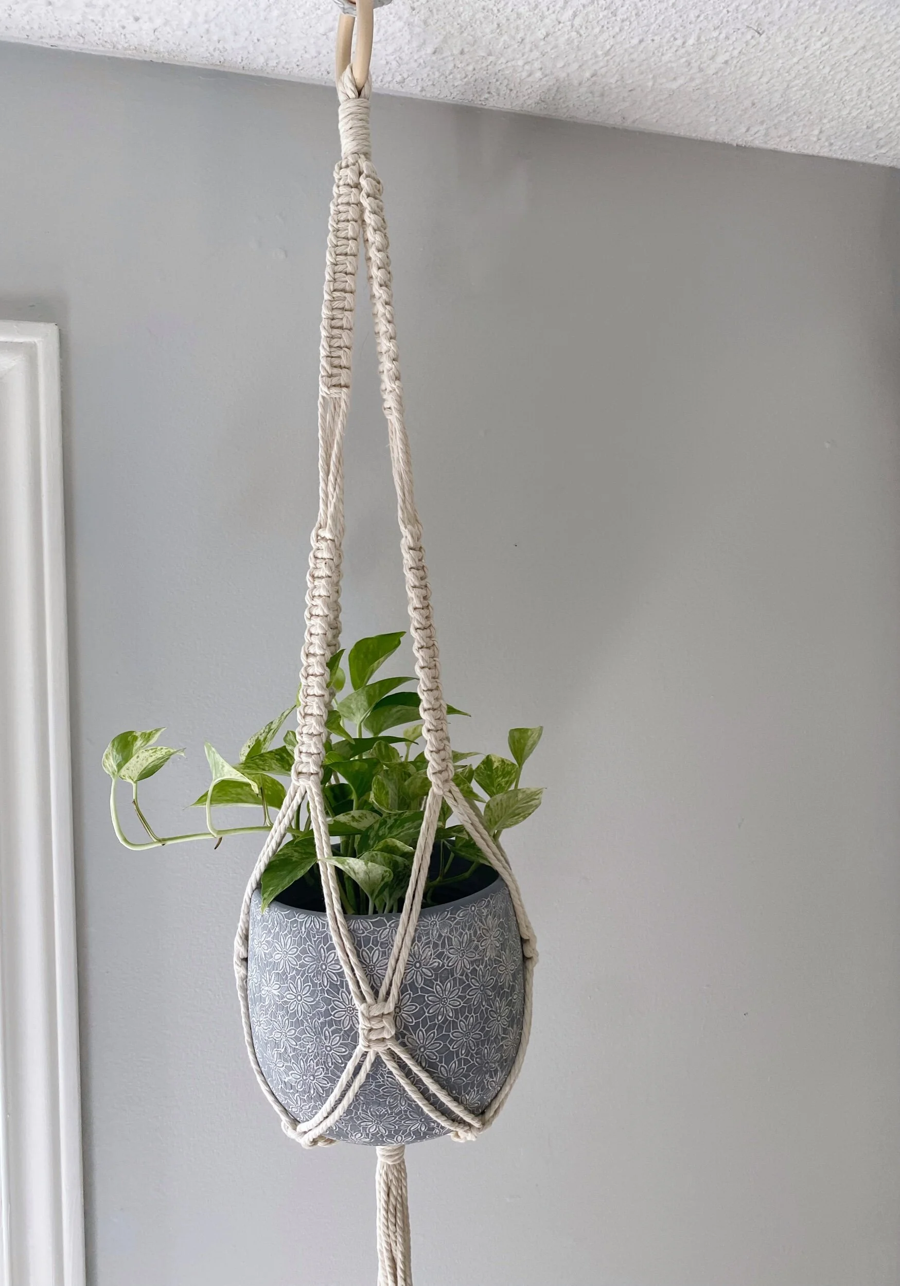 38F81D95-FDD8-40CC-8F19-D7E861DF8706