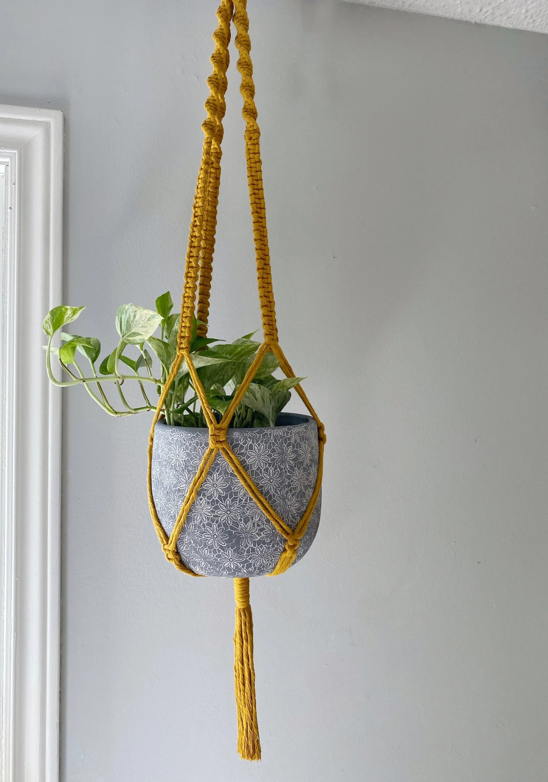 B1C677EA-E258-4608-B904-231EA750993A