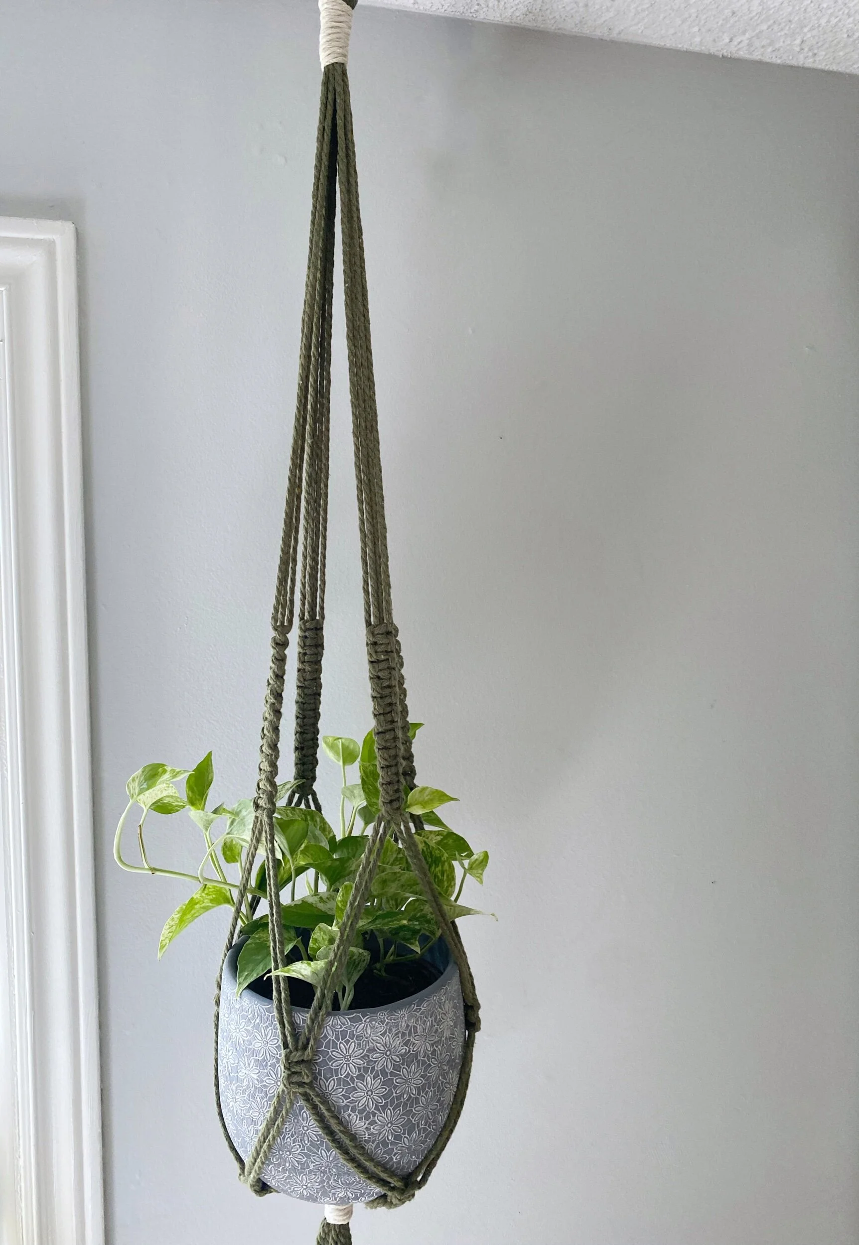 8713B6FB-3E21-4AC2-AF21-4C595D0CD503