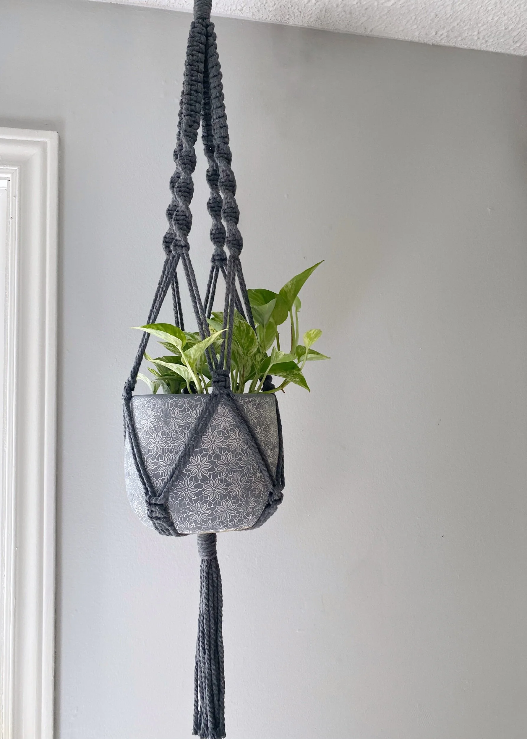 6D1EF8EB-C4D8-4AC5-B2BF-E3001C79DB58