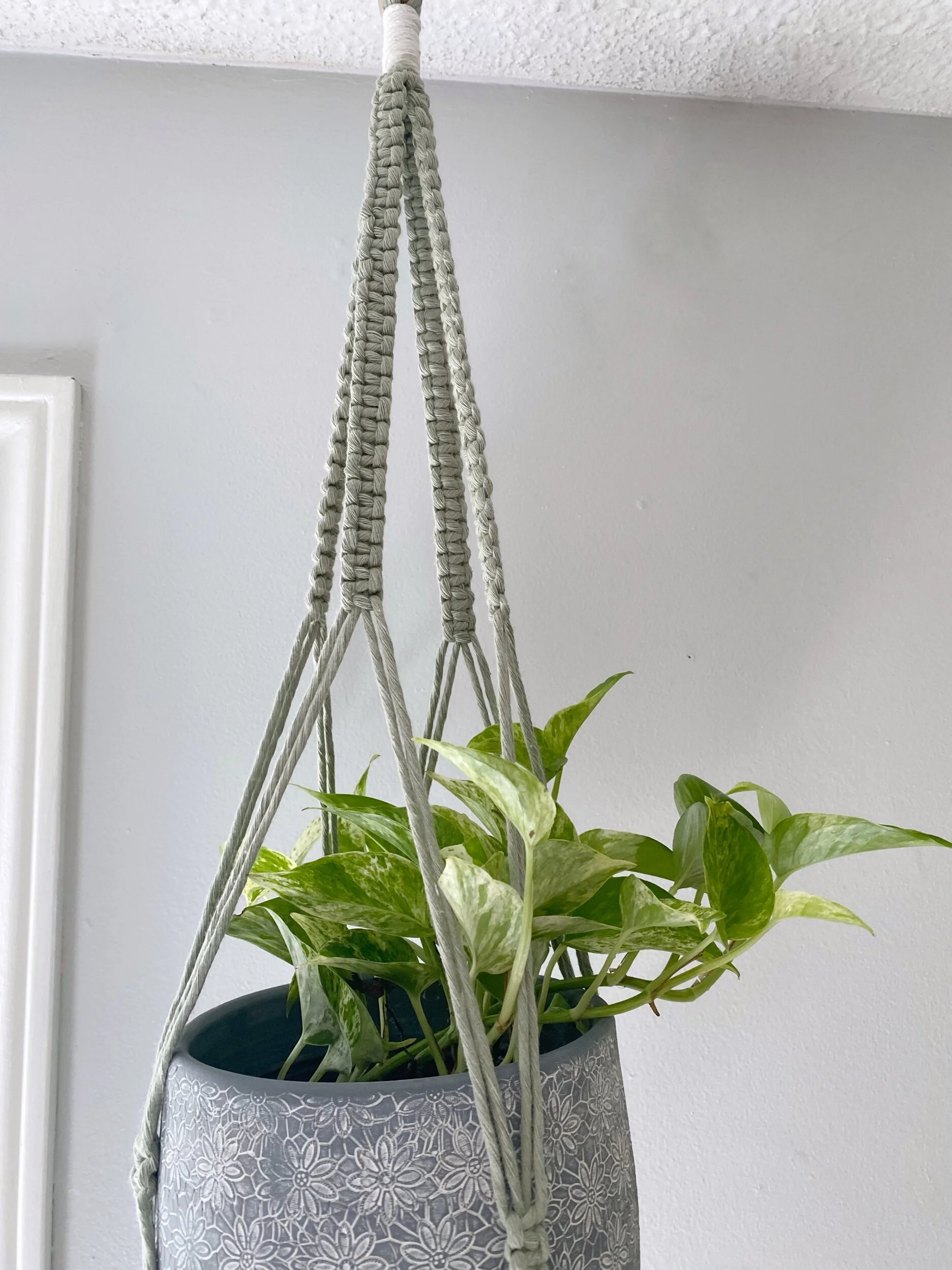 7386DF14-517D-4F89-9D81-6A4583DF2AD8