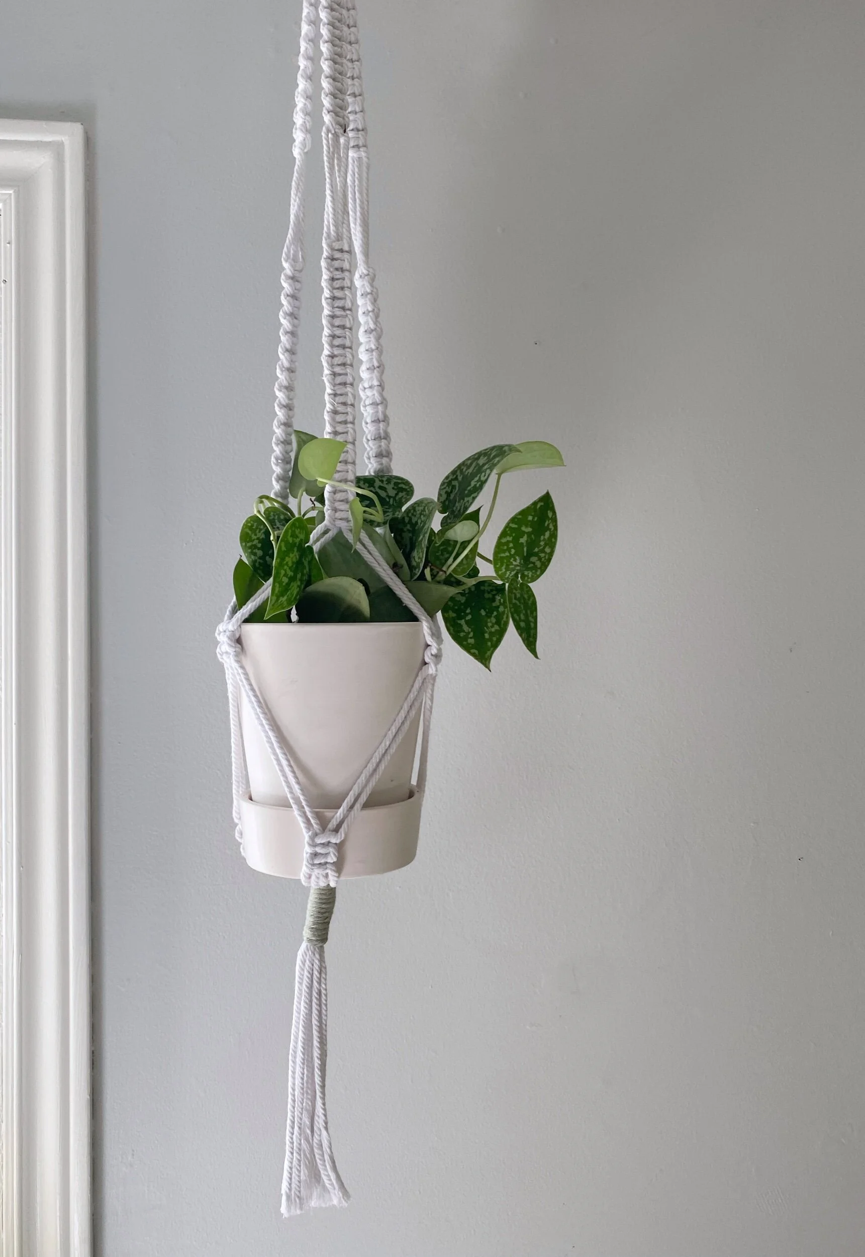 BCD81E01-14B6-4901-A9C3-CD4729C54608