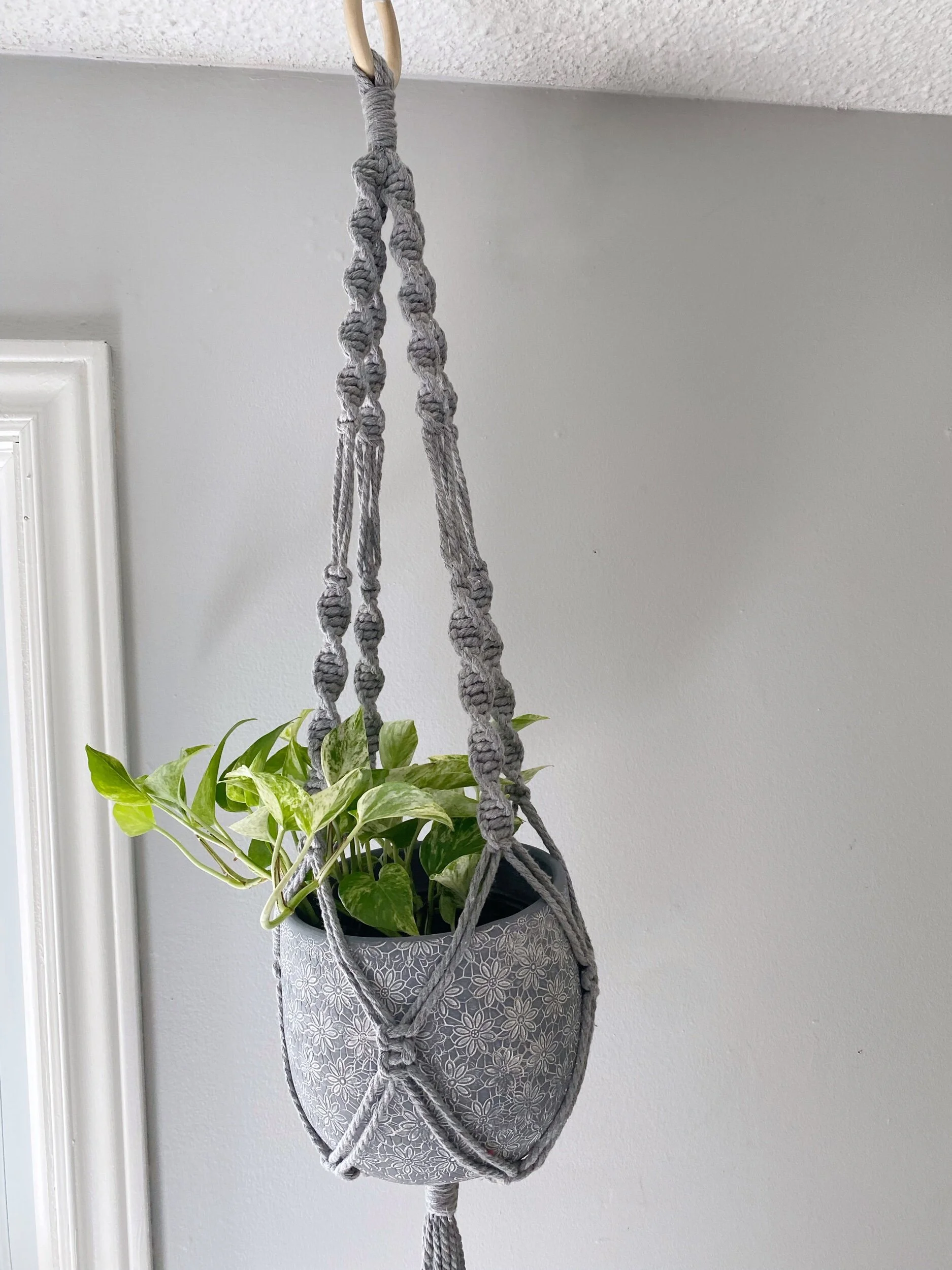 506A9471-3125-486F-B62E-1420E42ADD2B