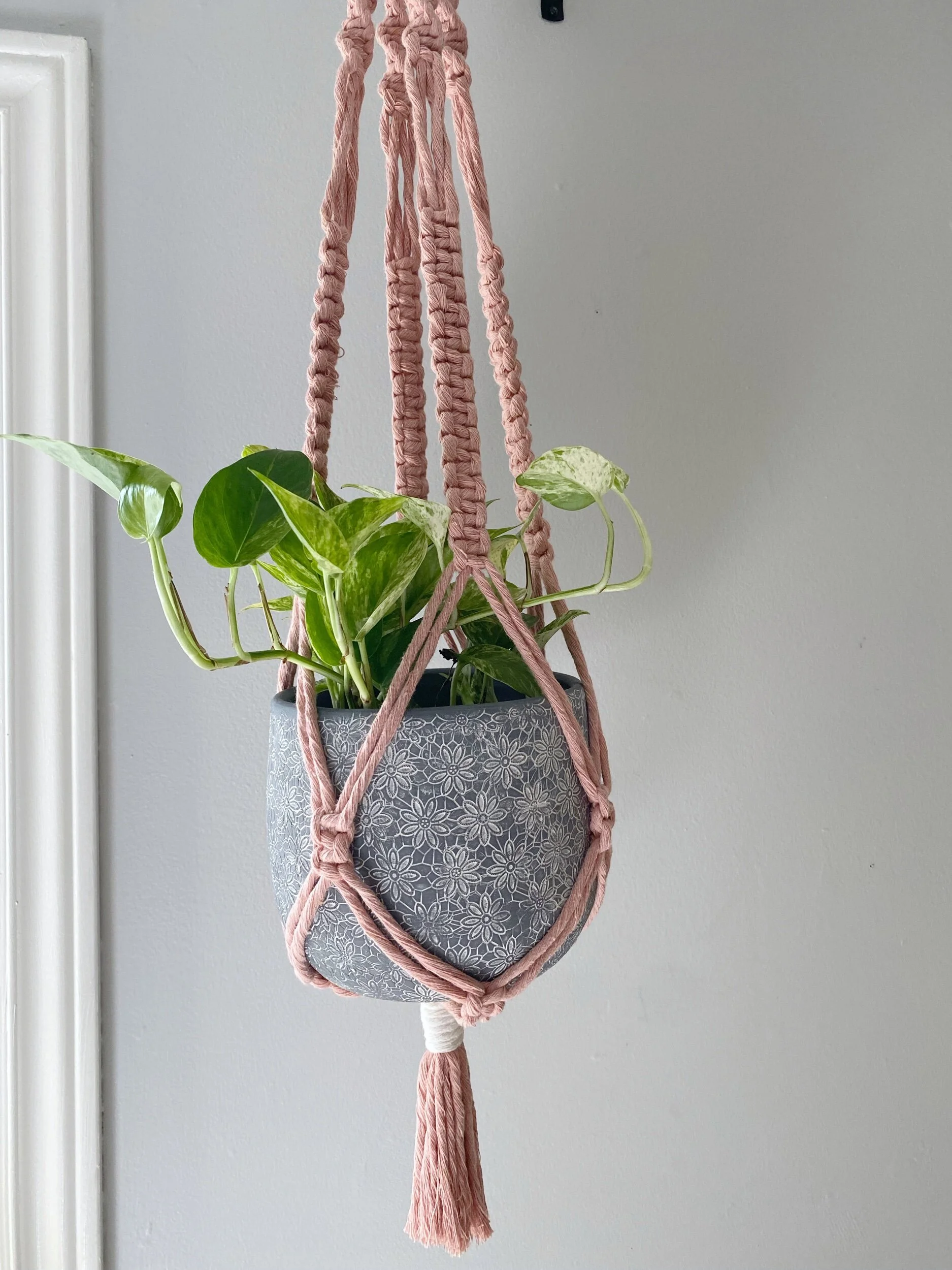 2B5A72A7-BBBB-462A-AFD6-9403A9DB2920