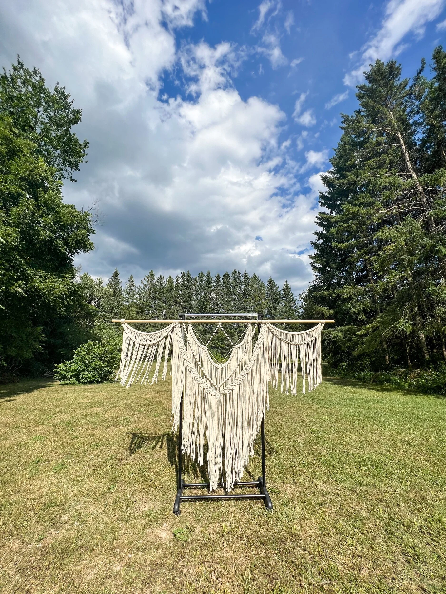 07E9E764-8C74-48E4-8FE9-CBE2FEBDC106