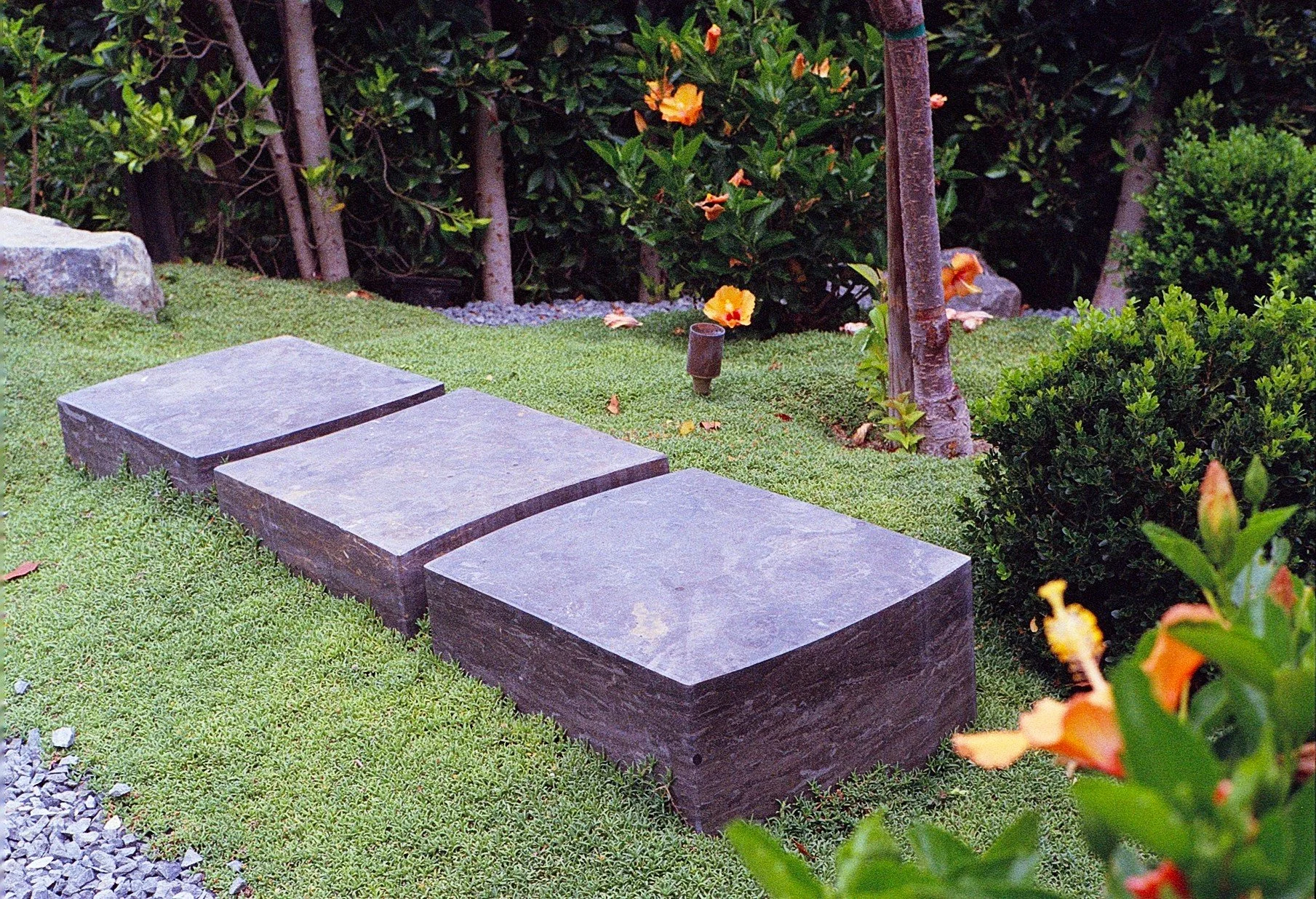 SanRemoDr92423.jpg