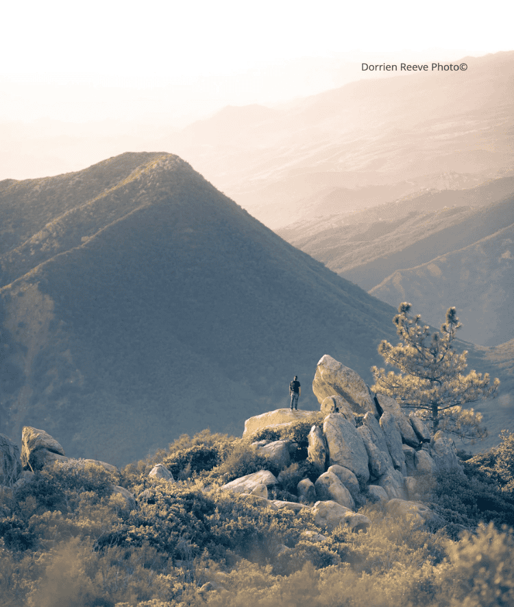 Untitled design (15).png