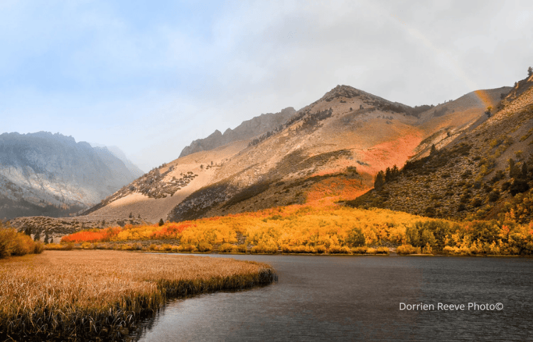 Untitled design (26).png