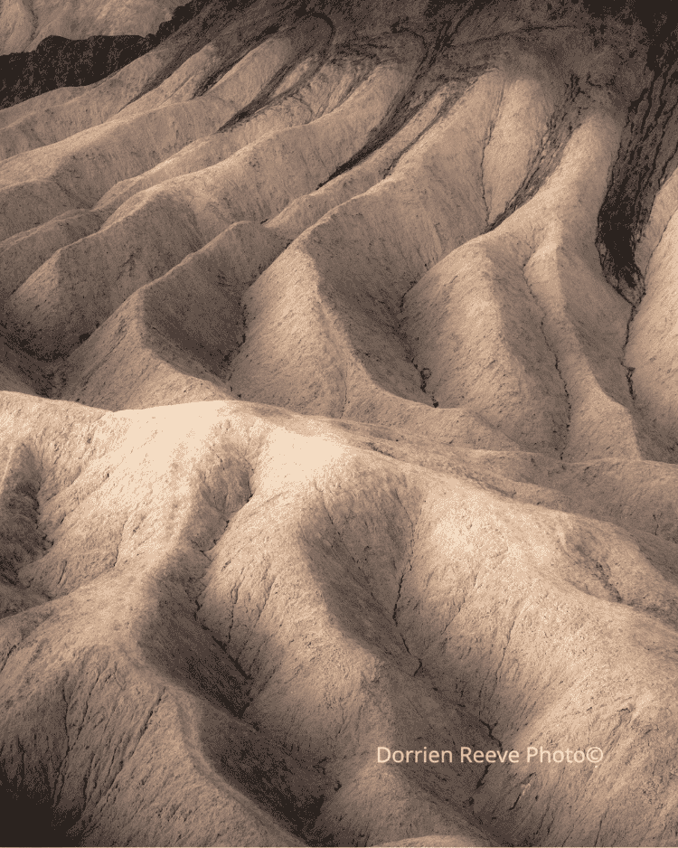 Untitled design (23).png