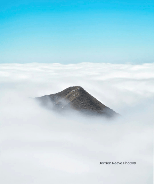 Untitled design (29).png