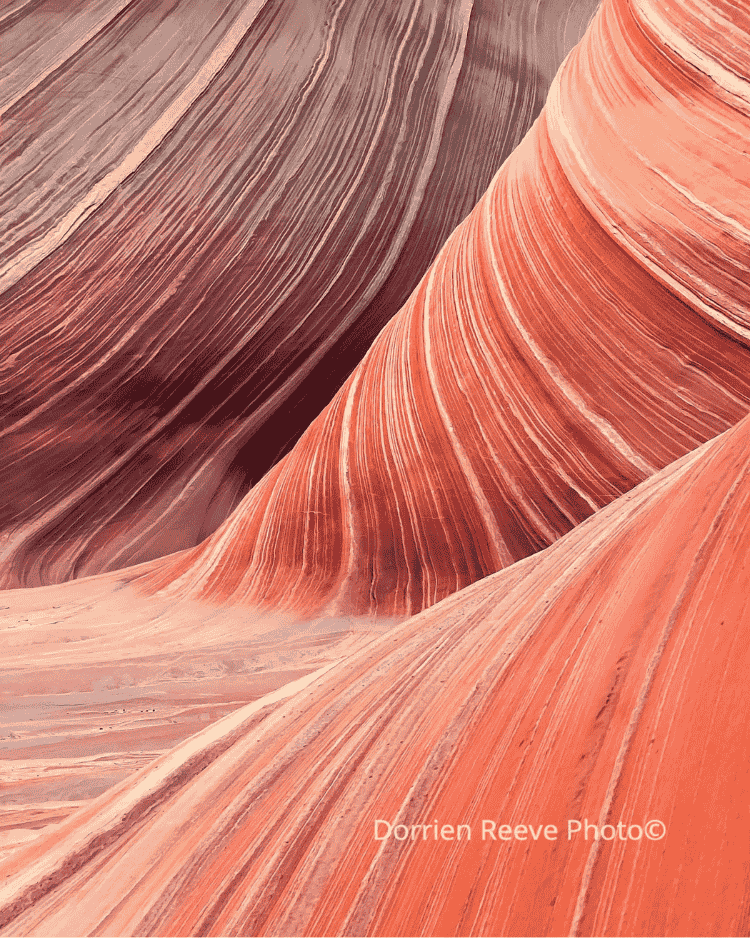 Untitled design (37).png