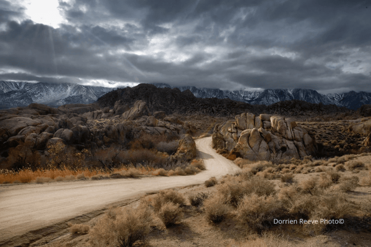 Untitled design (18).png