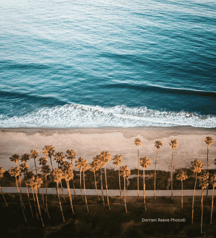 Untitled design (30).png