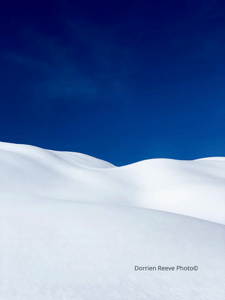 Untitled design (35).png