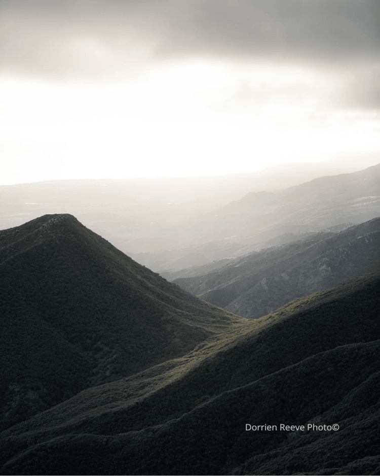 Untitled design (24).png