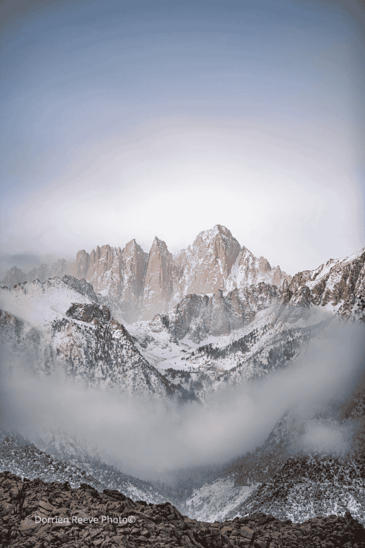 Untitled design (20).png