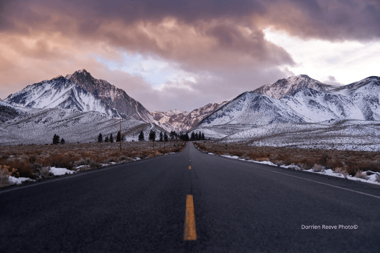 Untitled design (17).png