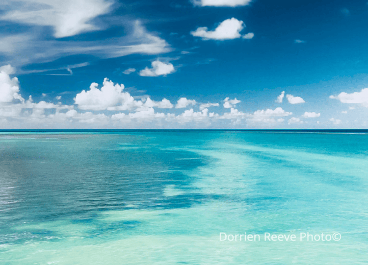 Untitled design (38).png