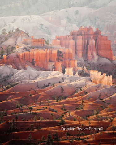 Untitled design (31).png