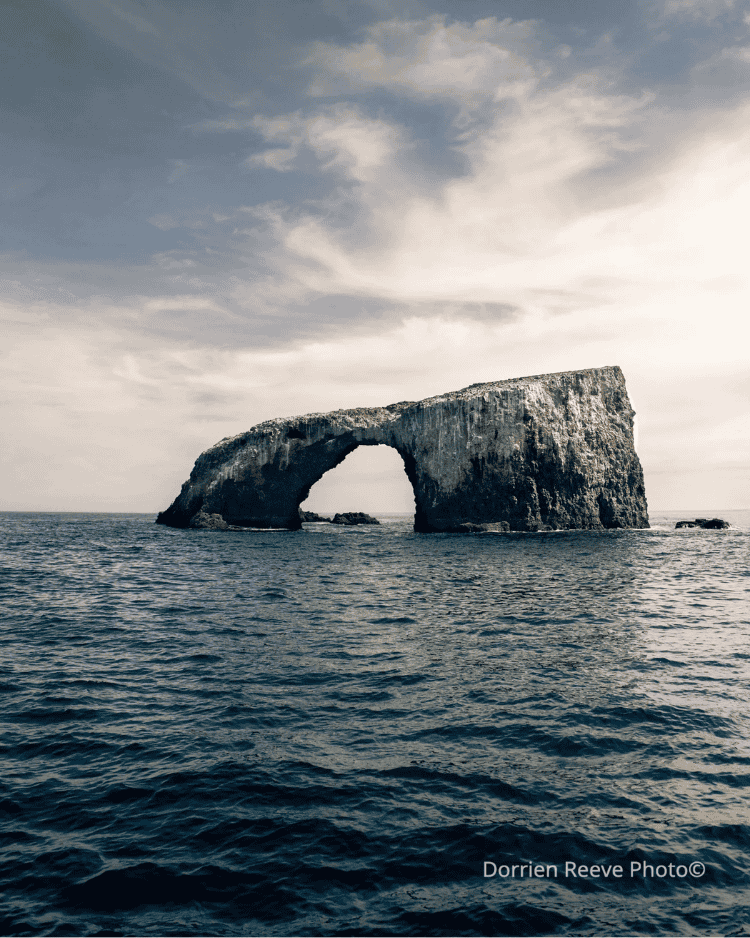 Untitled design (12).png