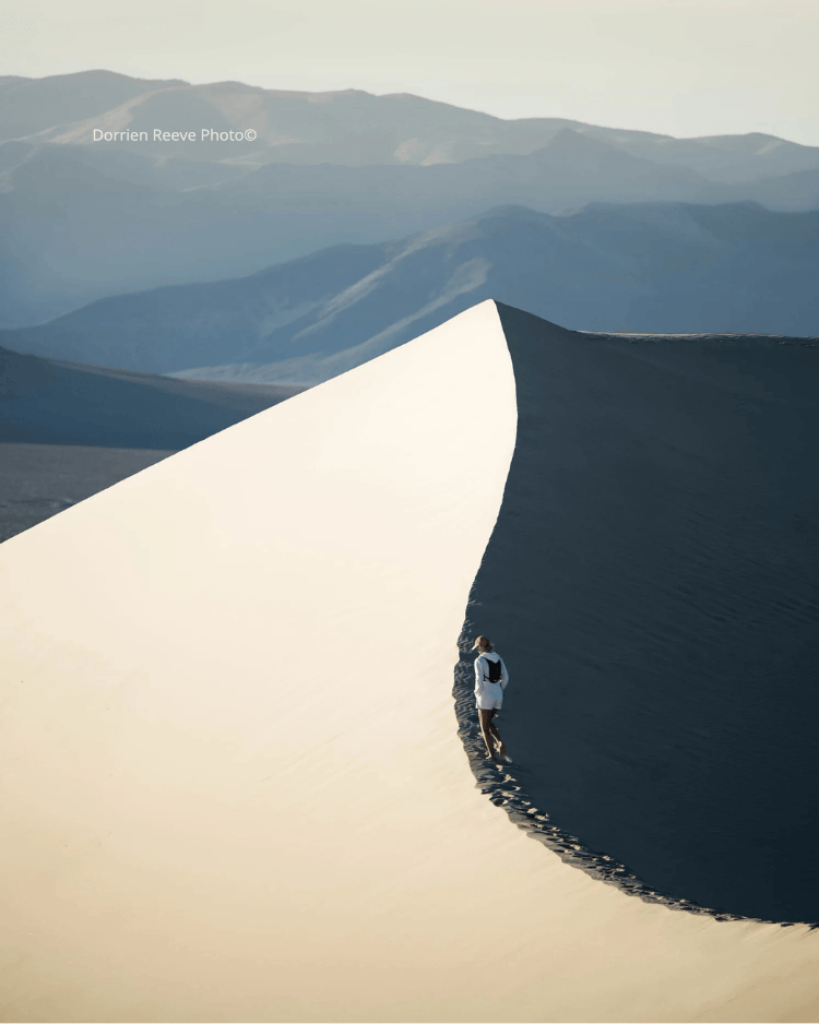 Untitled design (22).png