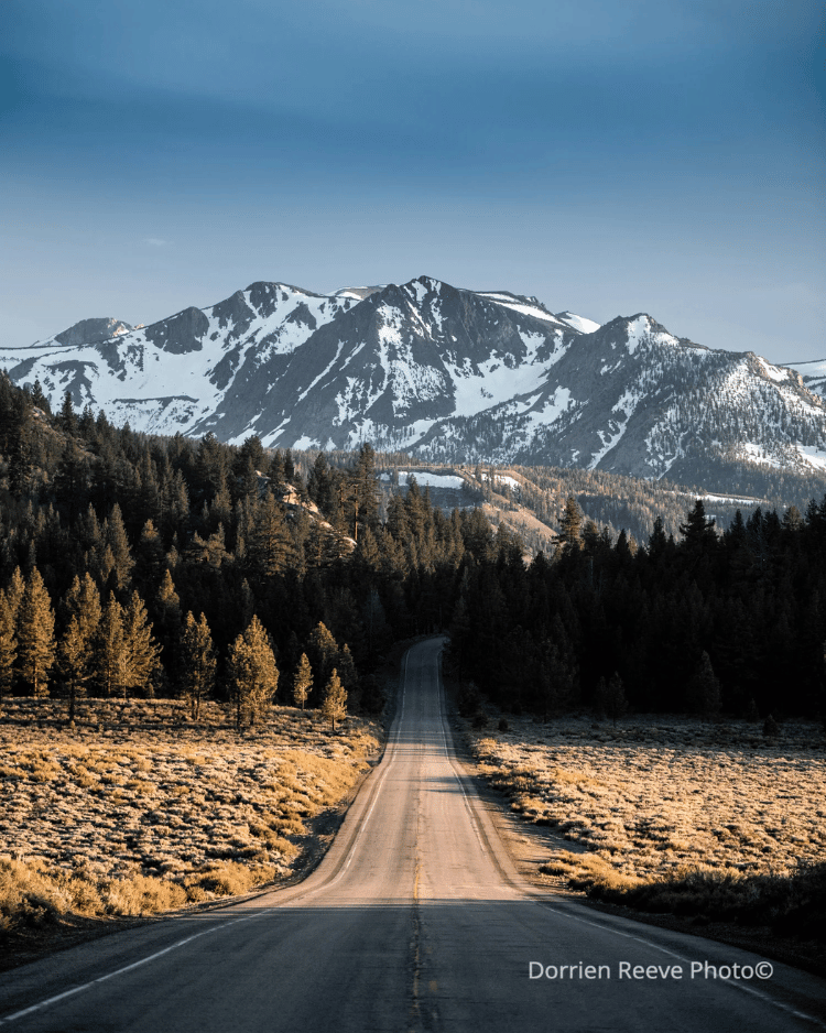 Untitled design (11).png