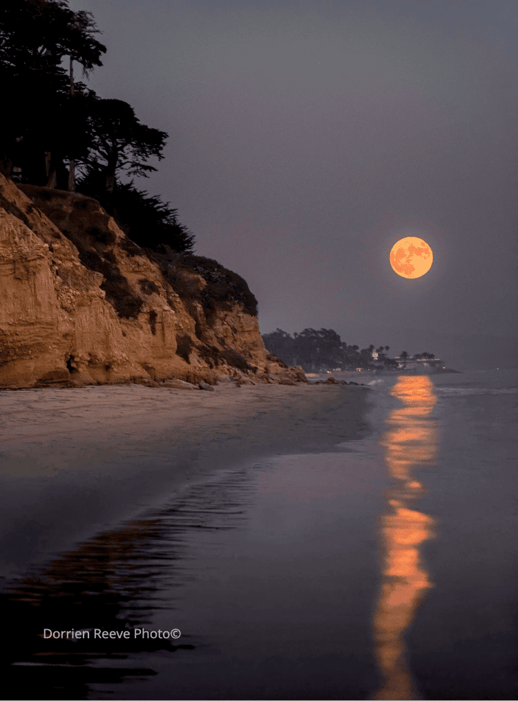 Untitled design (19).png