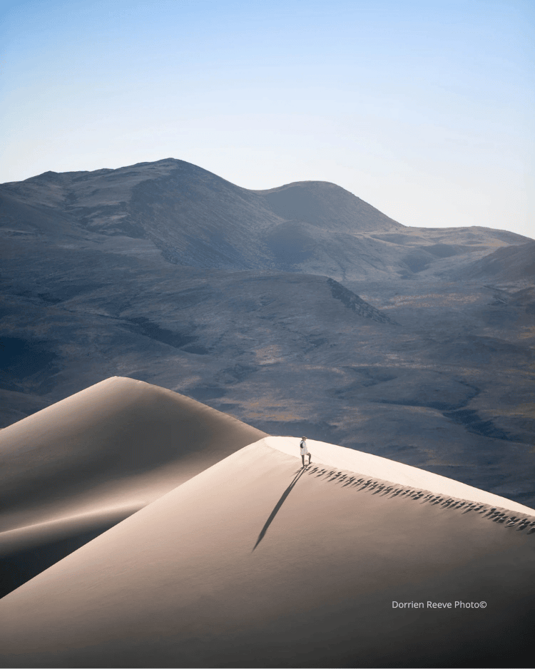 Untitled design (21).png