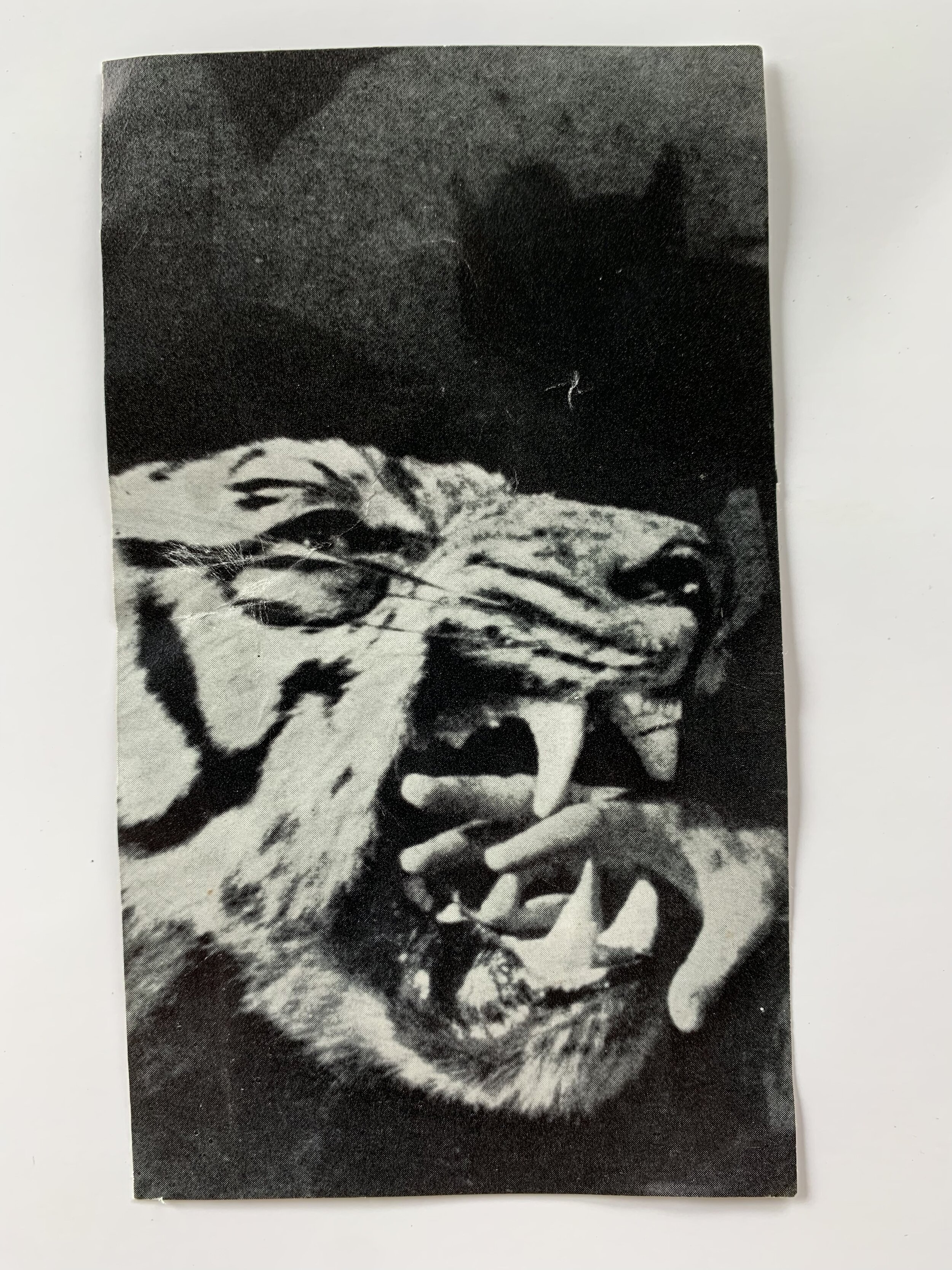 Collage17.jpg