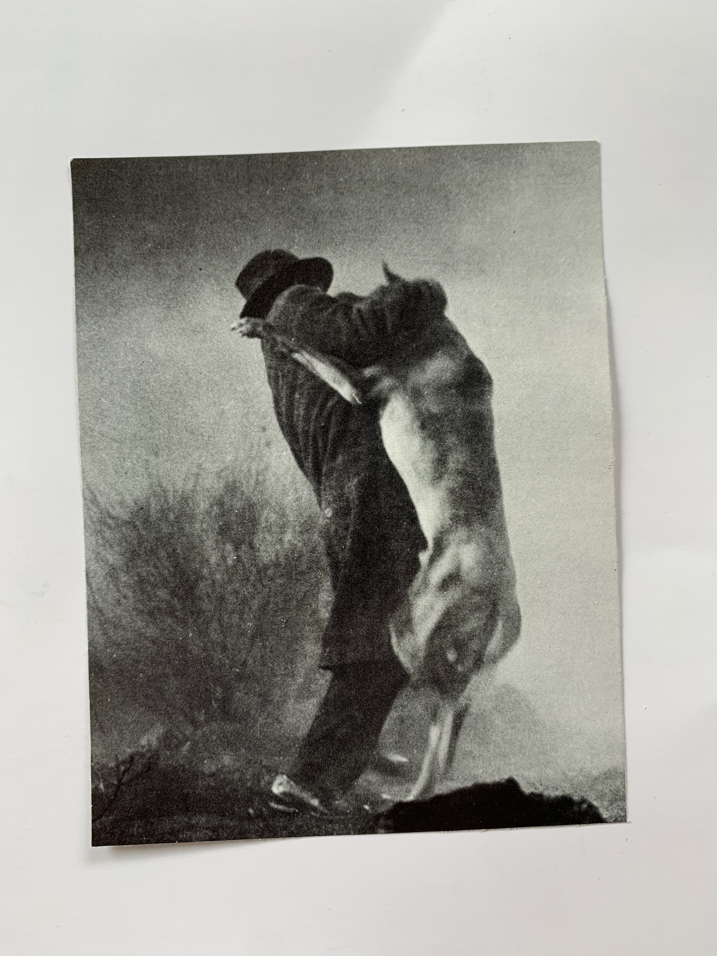 Collage54.jpg