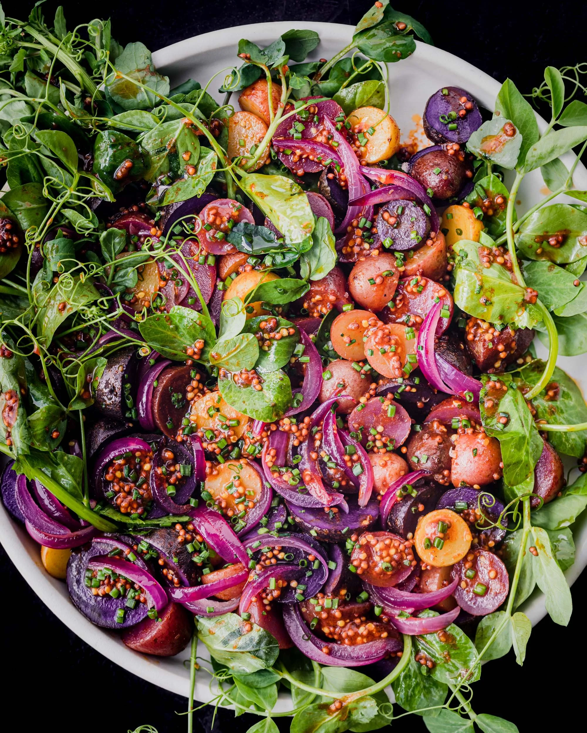 Colorful potato salad with watercress, red onions and a whole grain mustard vinaigrette on white black on a black background.