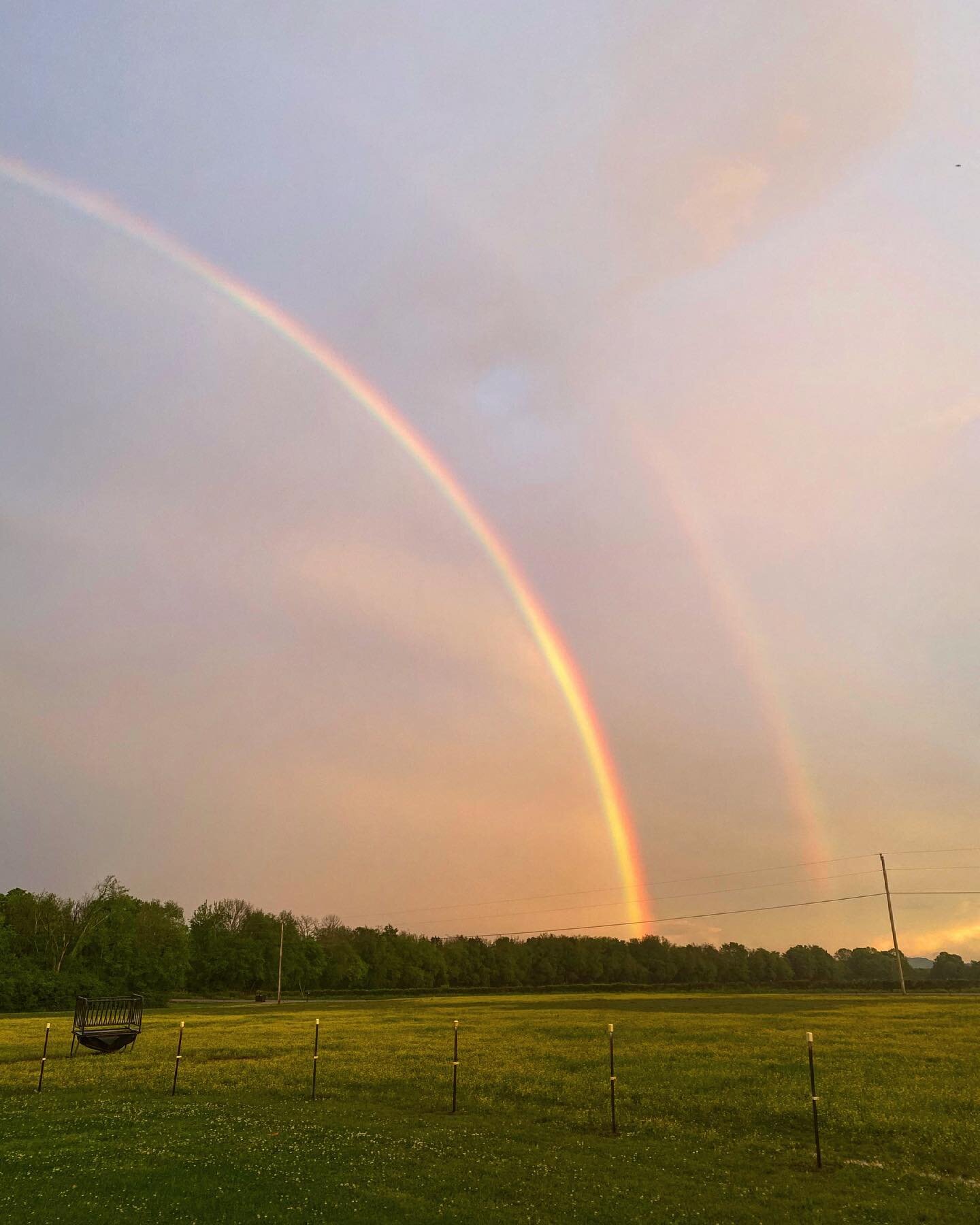 No filter needed. Y&rsquo;allllll... did anyone else catch this super bright double rainbow tonight here in middle TN?! I saw the complete arch. I am always in awe by a rainbow. 🌈 God keeps His promises. 🙏
.
&ldquo;As I journey here mid the toils a
