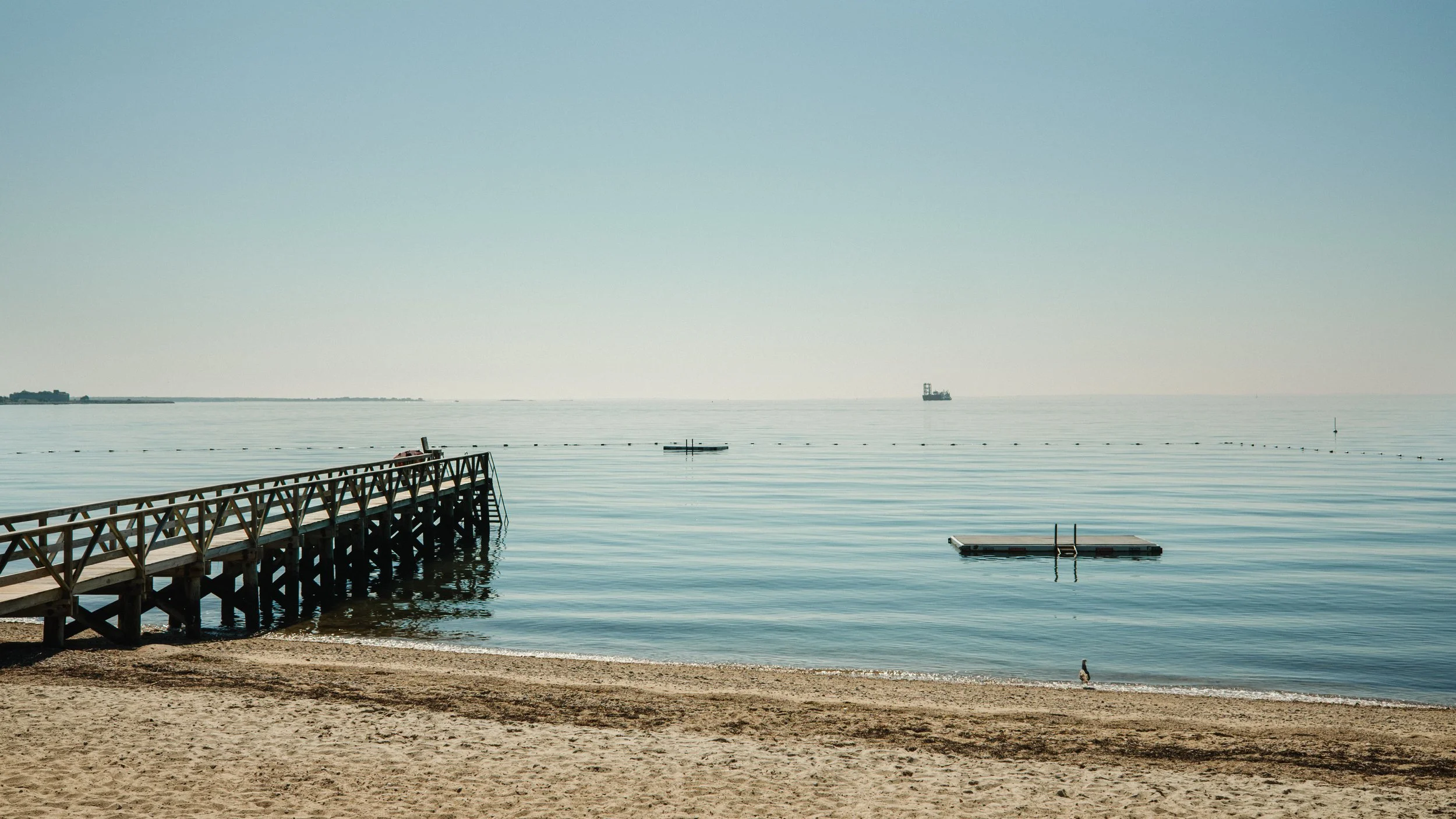 DSCF3849-2.jpg