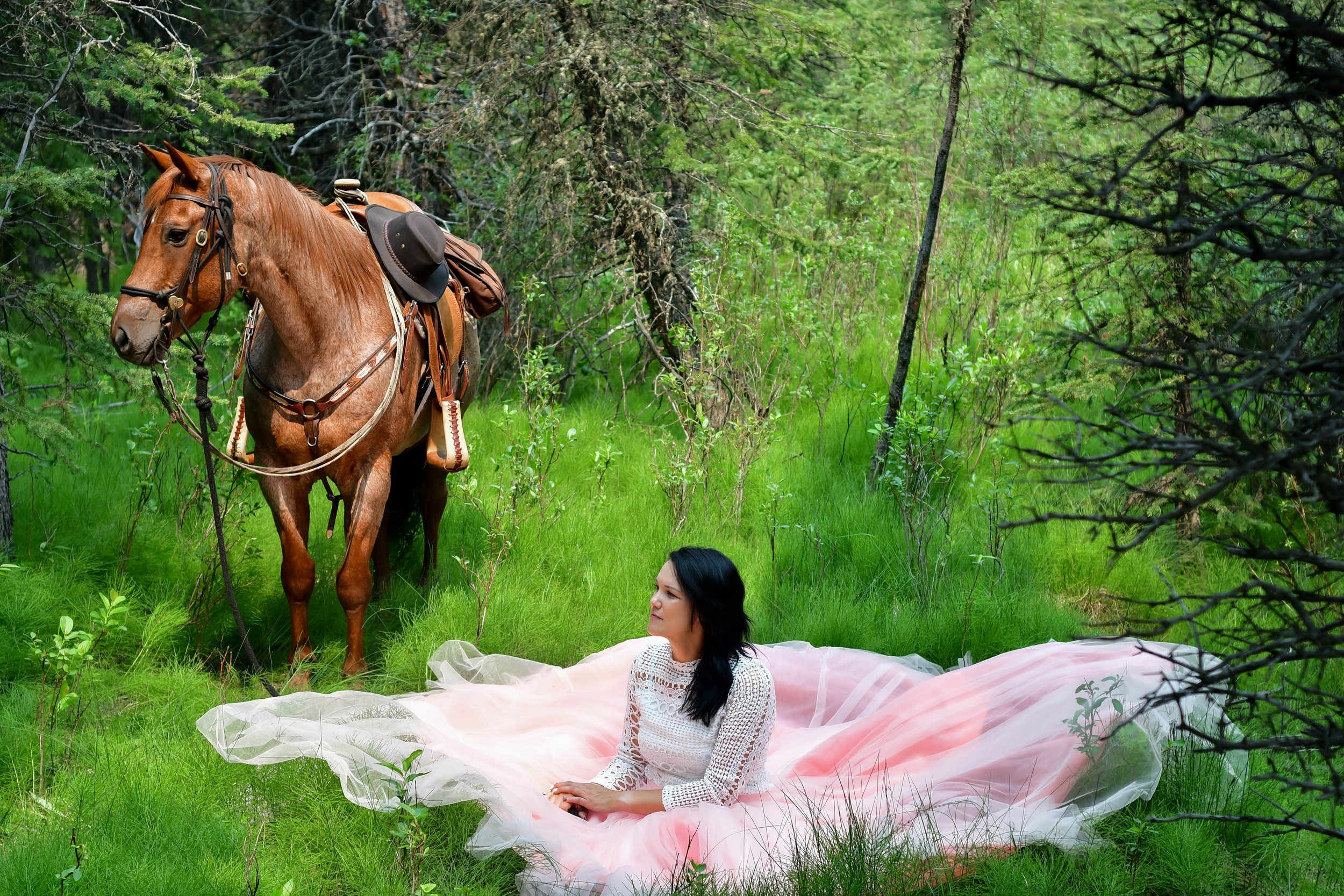 Photography on Horseback