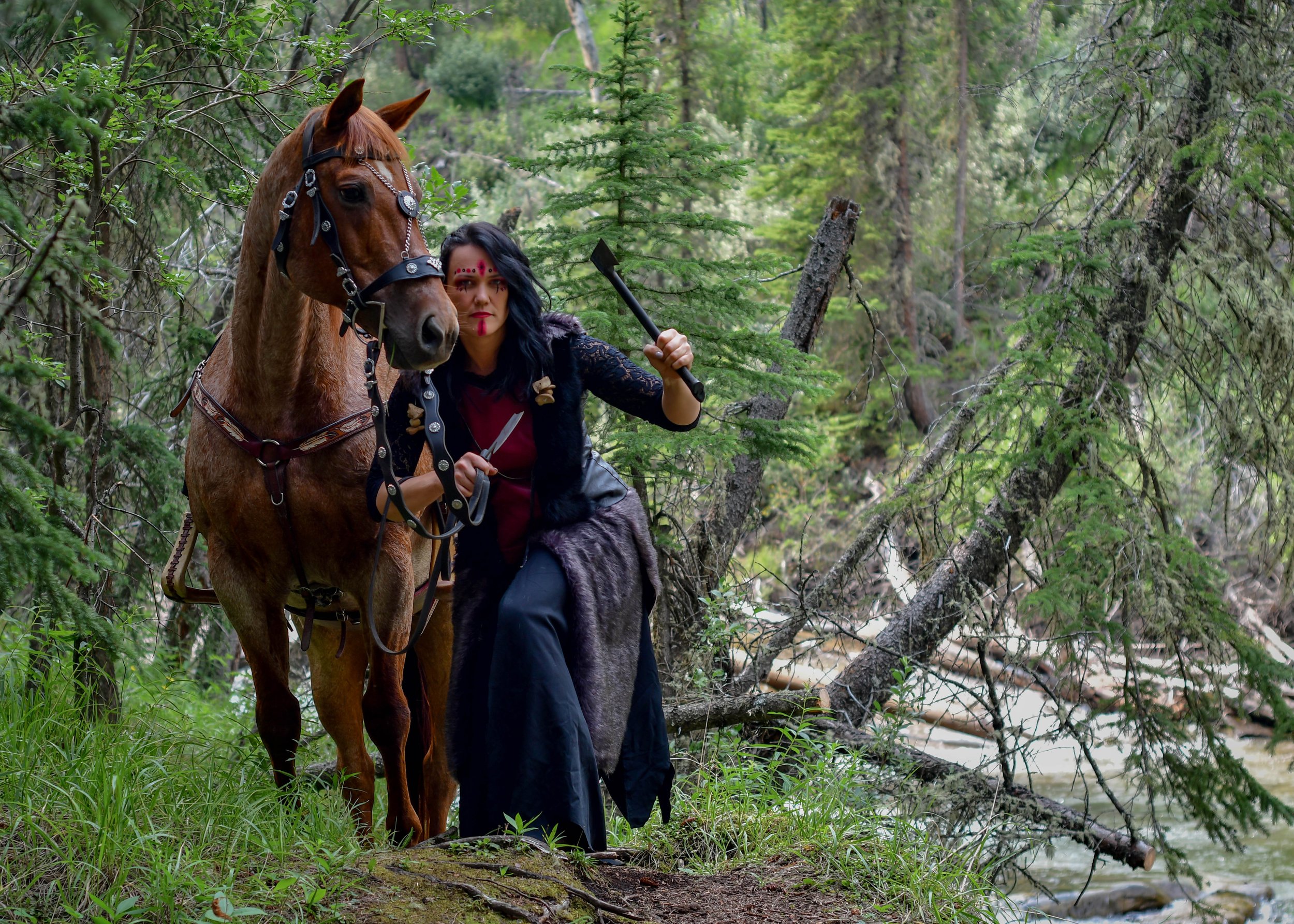 Photography on Horseback