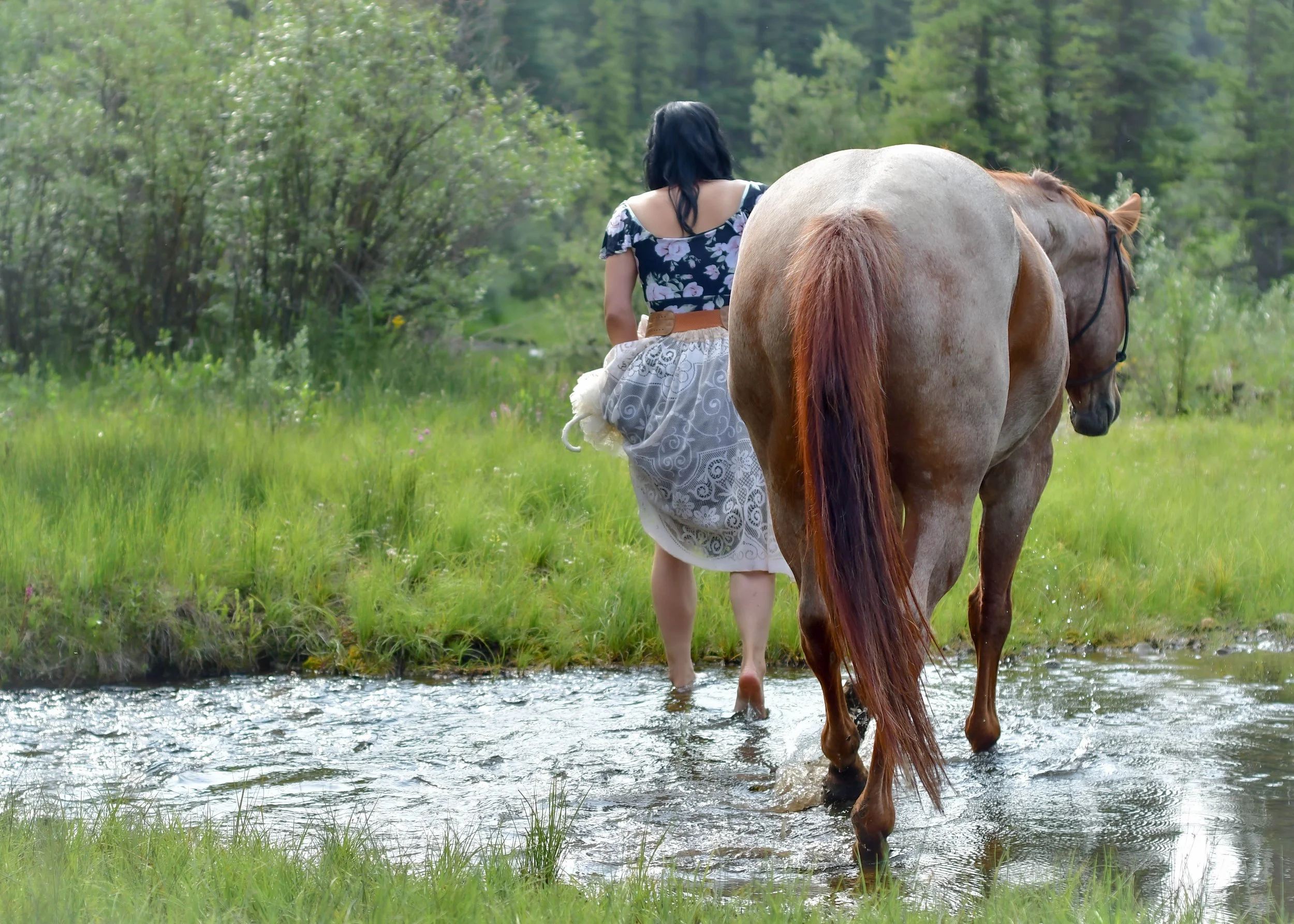 Photography on Horseback