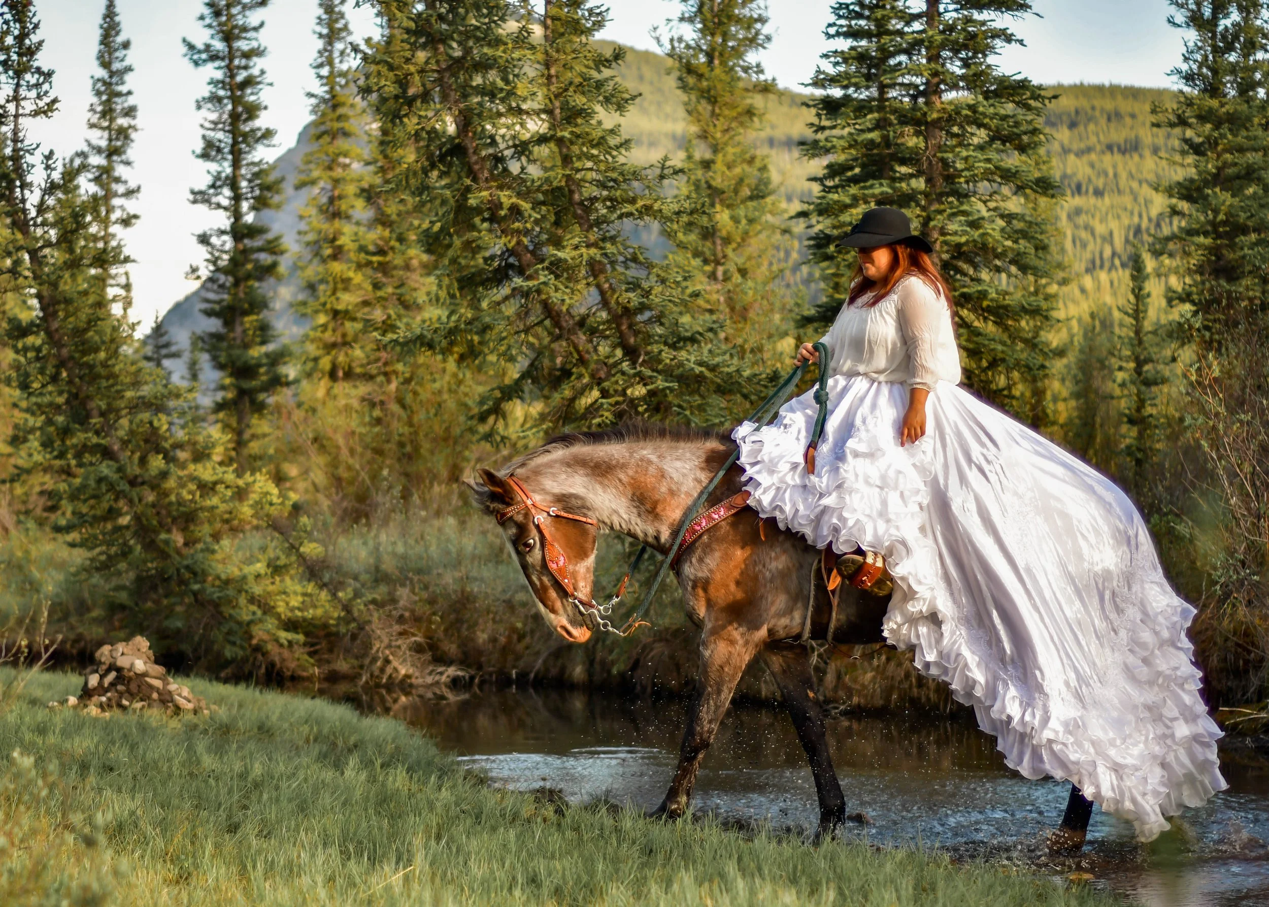 Photography on Horseback