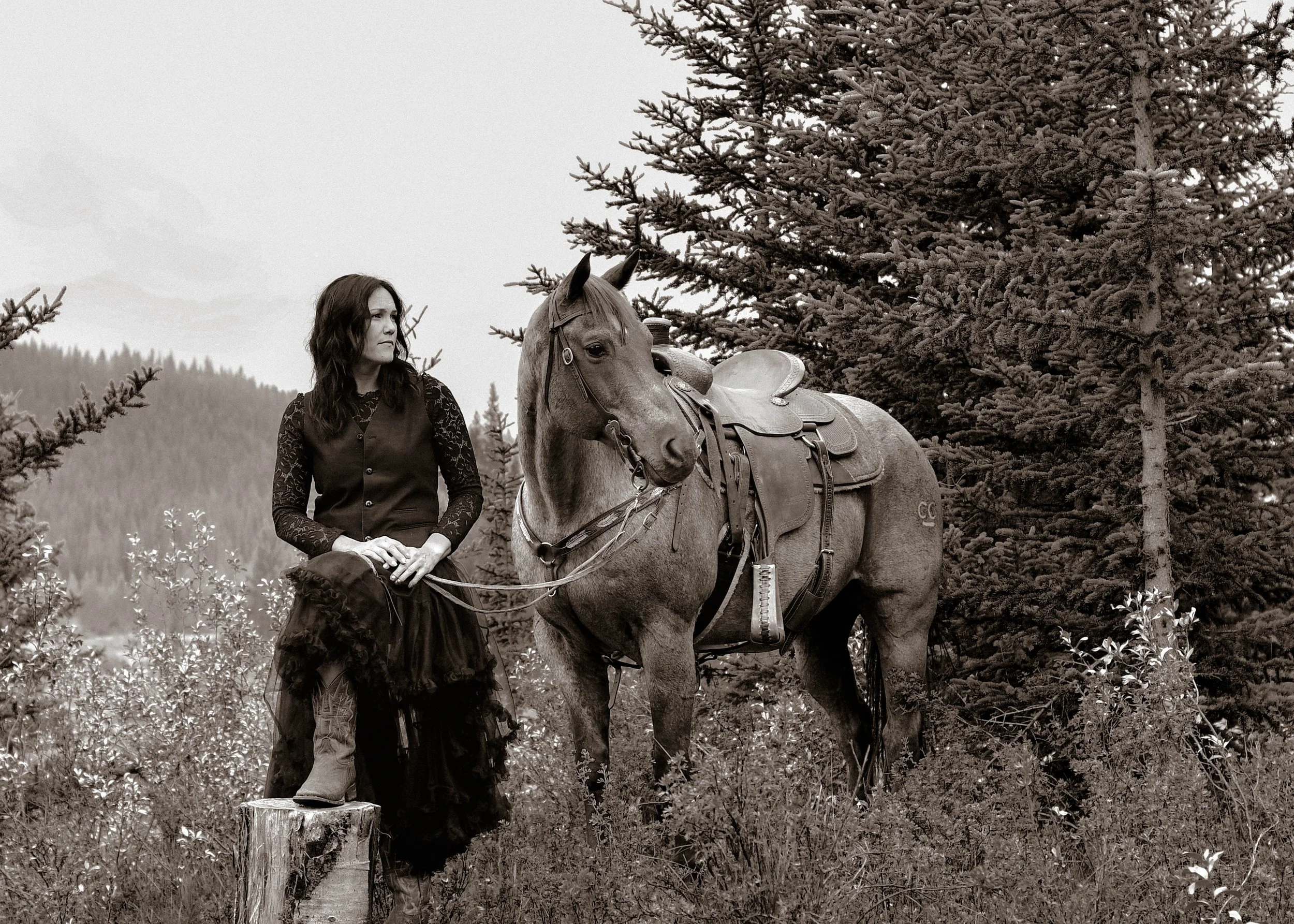 Photography on Horseback