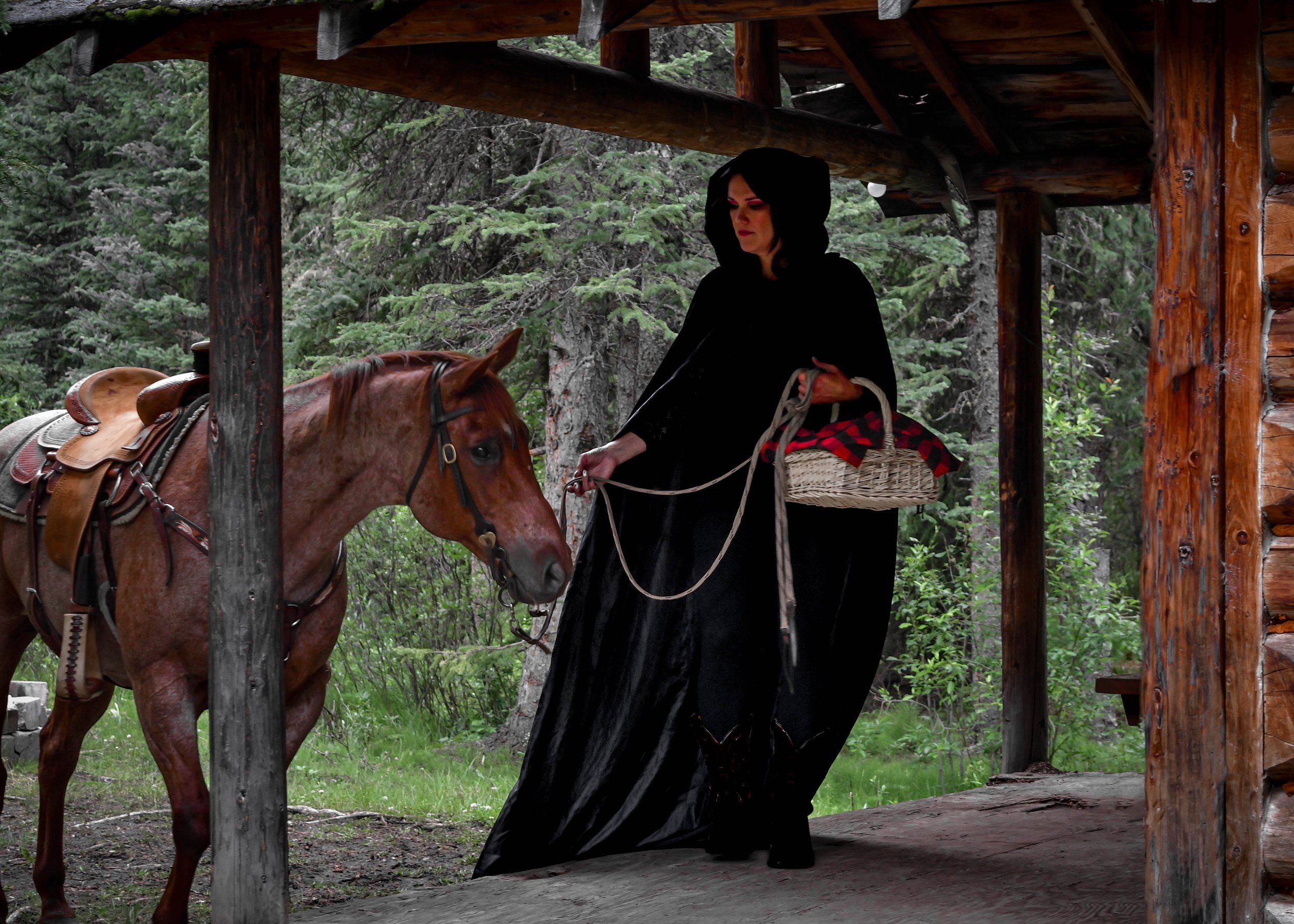 Photography on Horseback